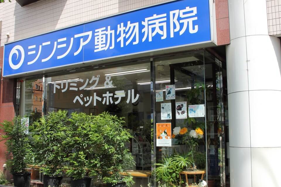 画像説明 画像説明