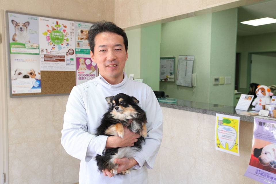画像説明 画像説明