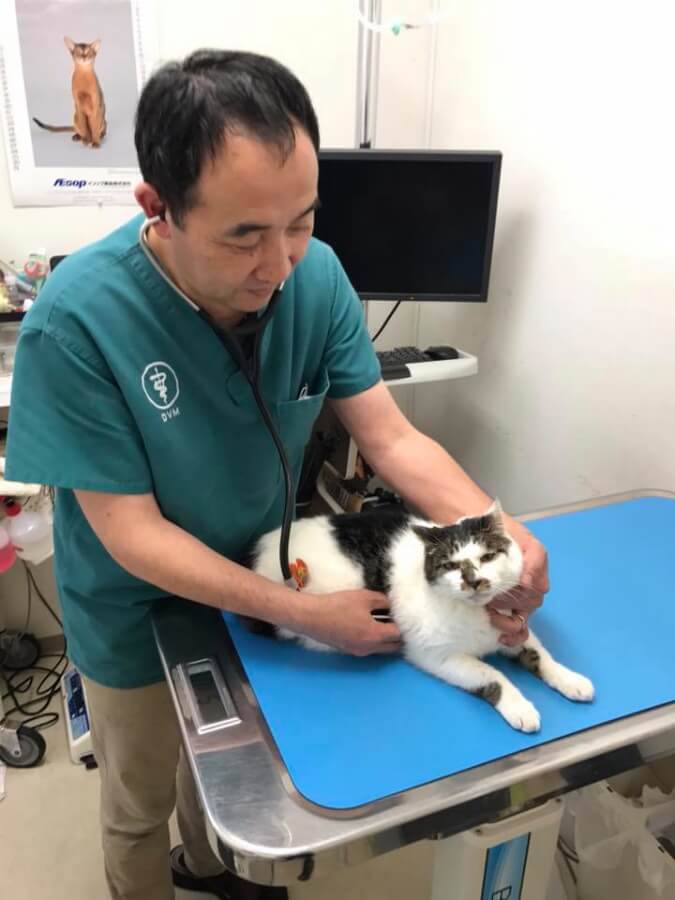 画像説明 画像説明