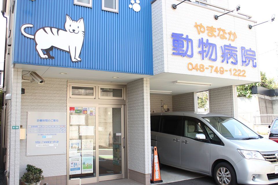 画像説明 画像説明