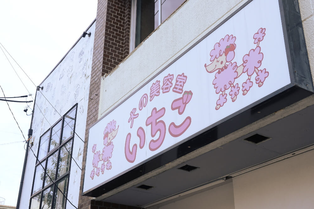 画像説明 画像説明