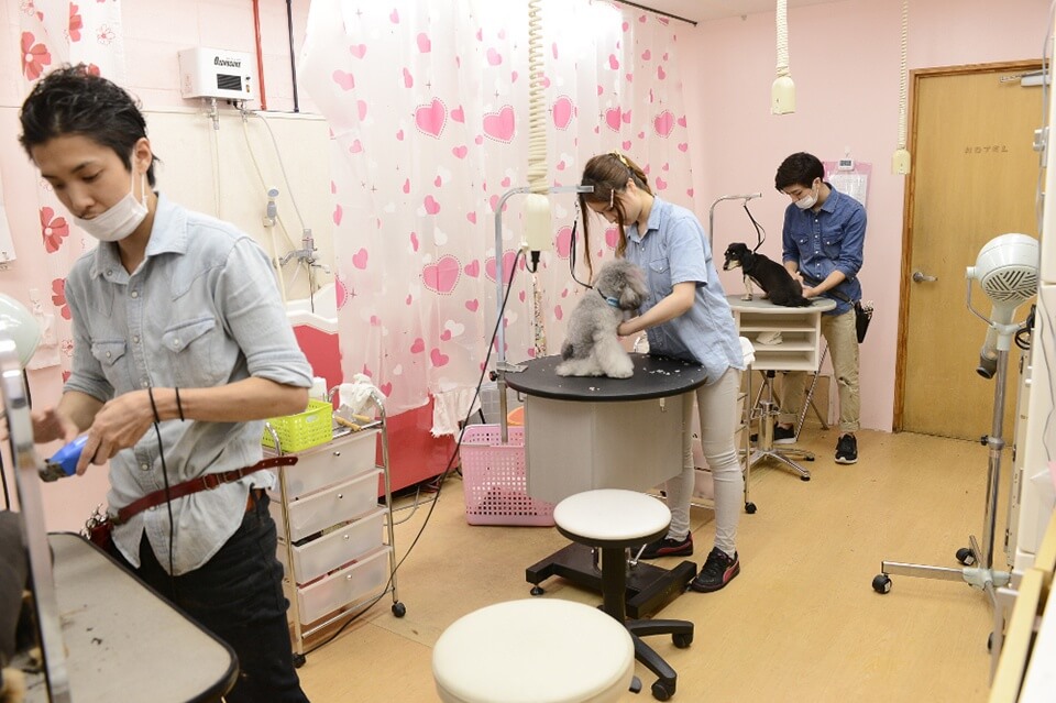 pet care salon Annneve -アンネイヴ- pet care salon Annneve -アンネイヴ-