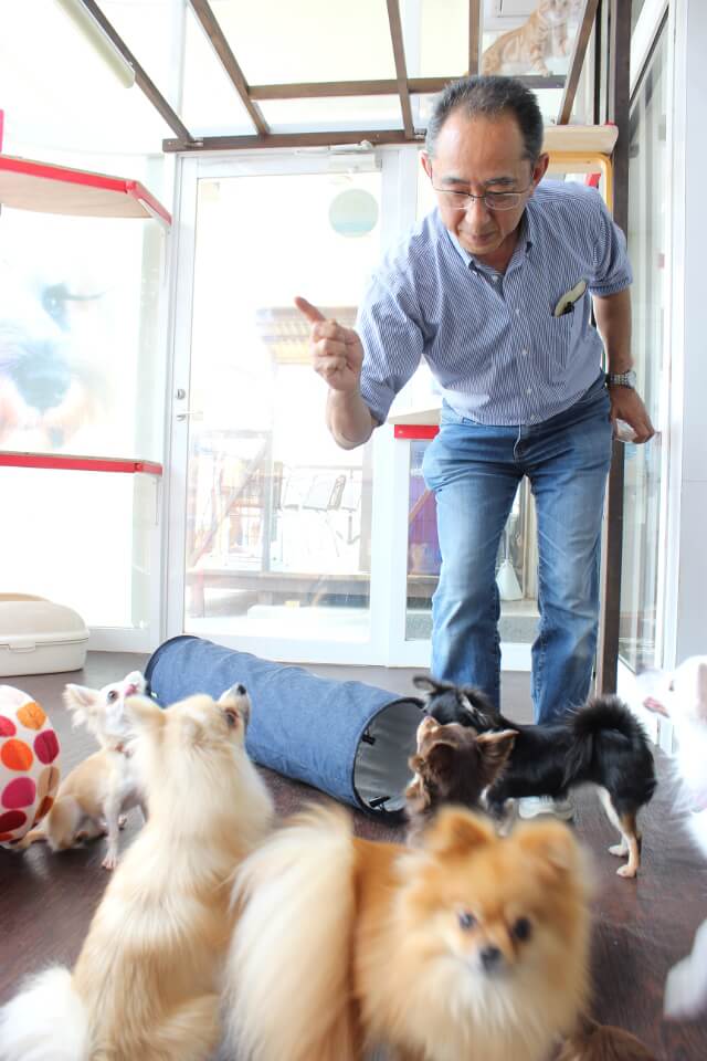 ペットステーション ハセガワ ペットステーション ハセガワ