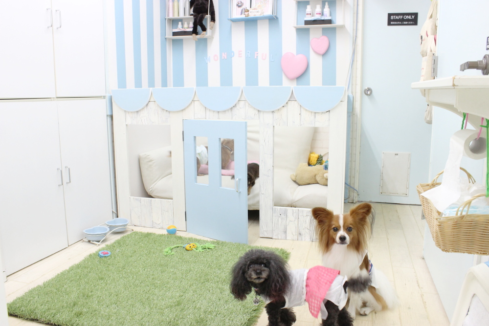 Pet House わんだふる
