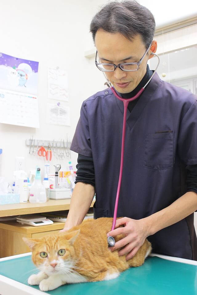 画像説明 画像説明