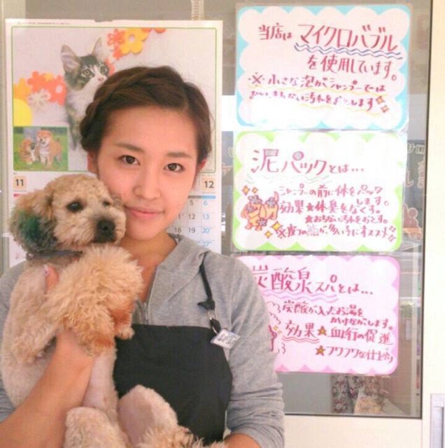画像説明 画像説明
