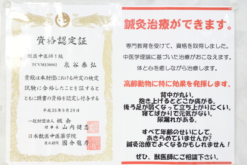 画像説明 画像説明