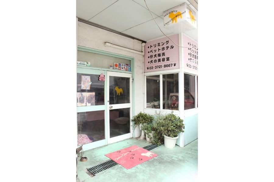 画像説明 画像説明