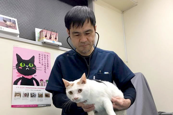 ワトソン動物病院