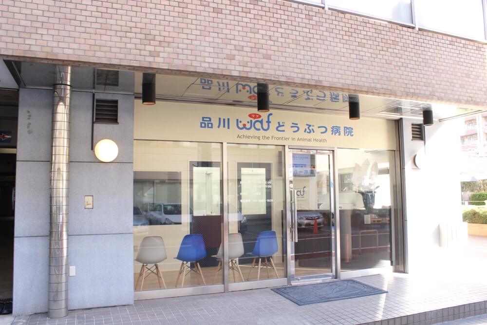 画像説明 画像説明