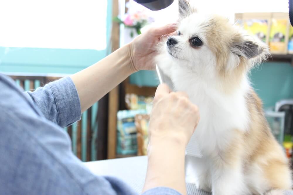 画像説明 画像説明