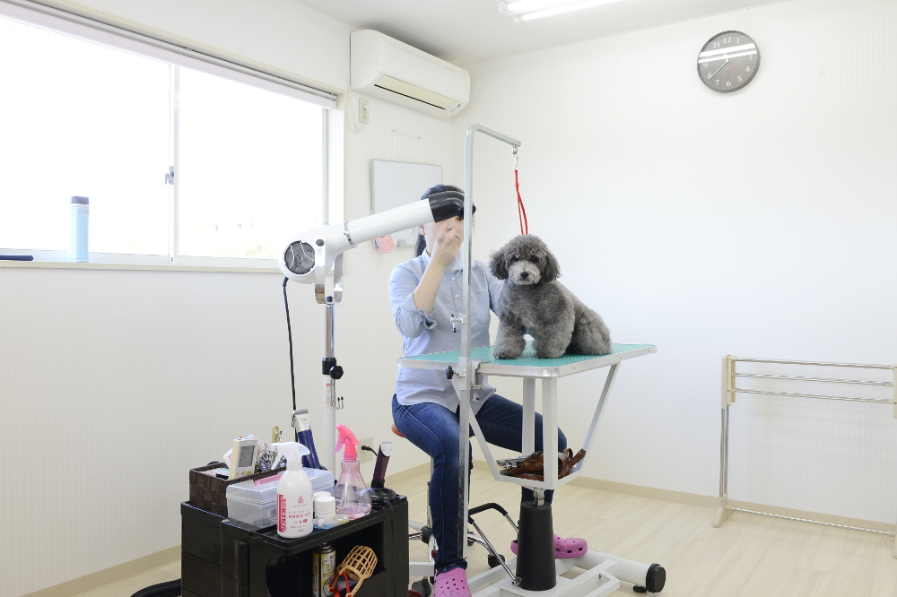 画像説明 画像説明