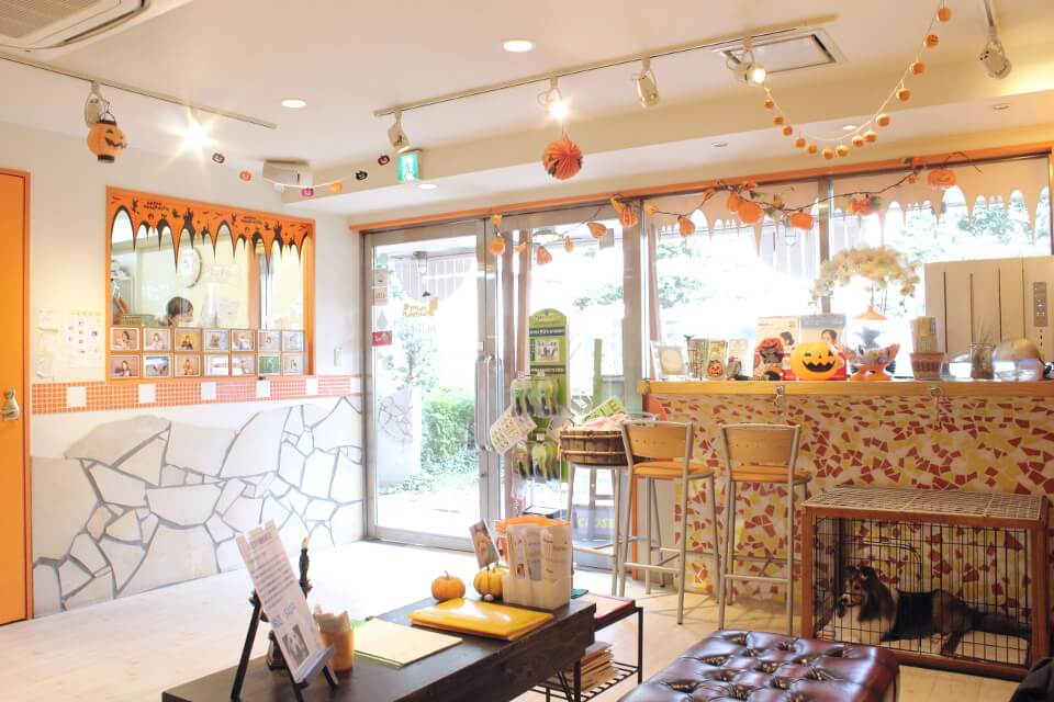 ペットサロン プルート 東川口店 ペットサロン プルート 東川口店