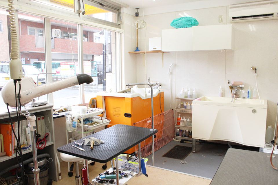 Dog Salon Cradle(クレイドル) Dog Salon Cradle(クレイドル)