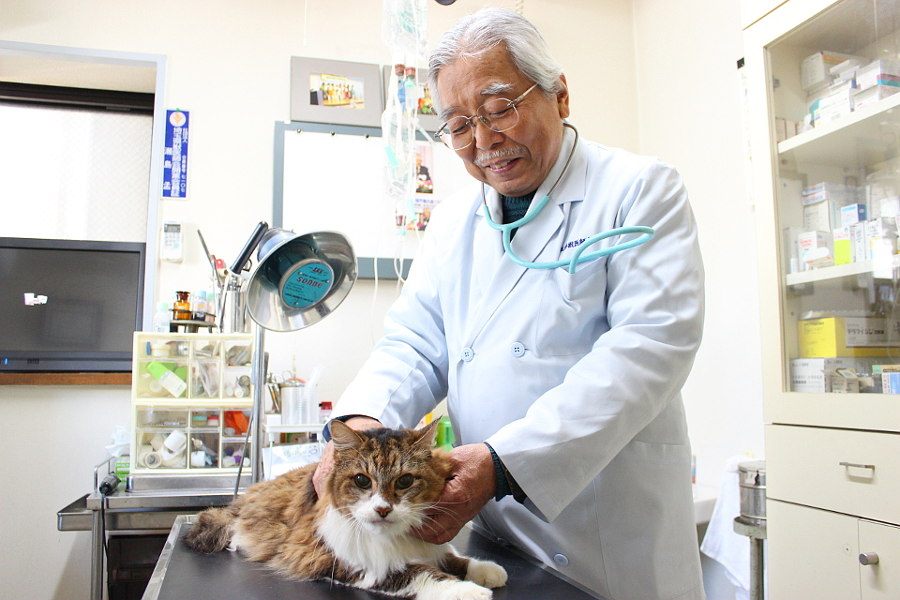せじま動物病院 せじま動物病院