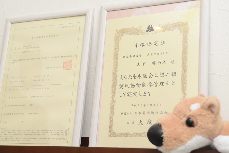 画像説明 画像説明