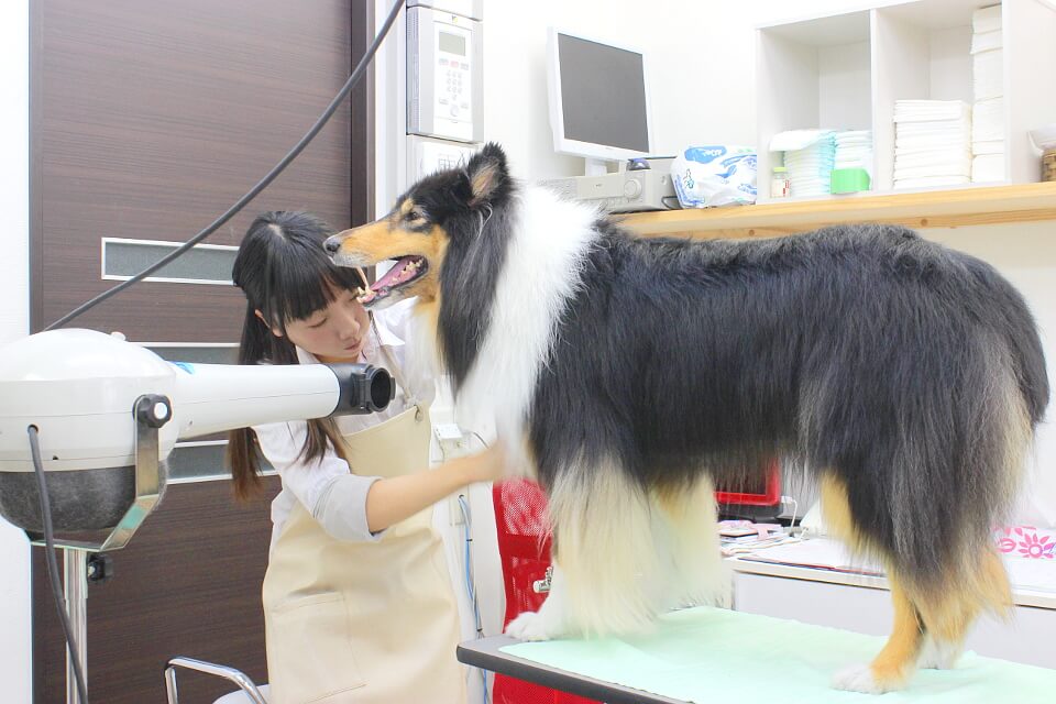 画像説明 画像説明