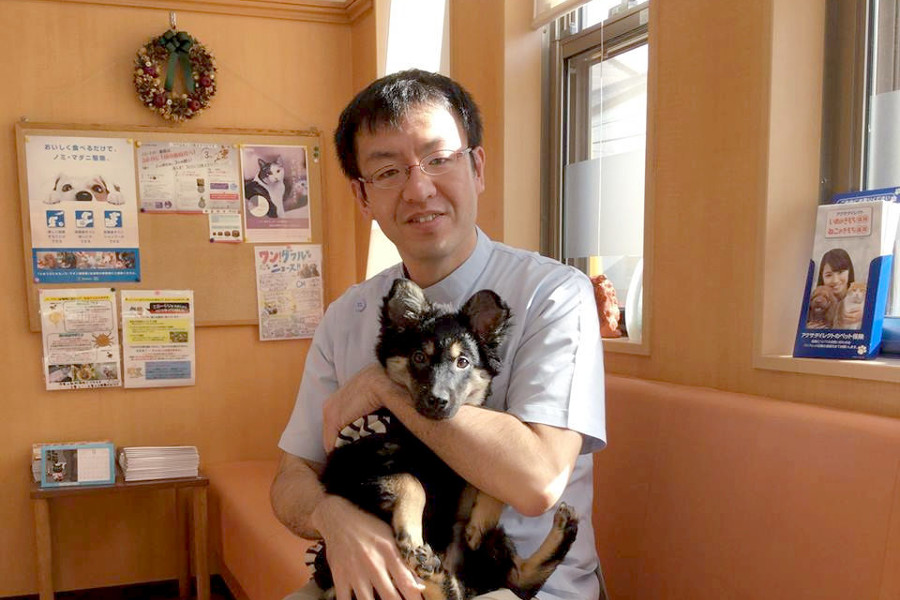 画像説明 画像説明