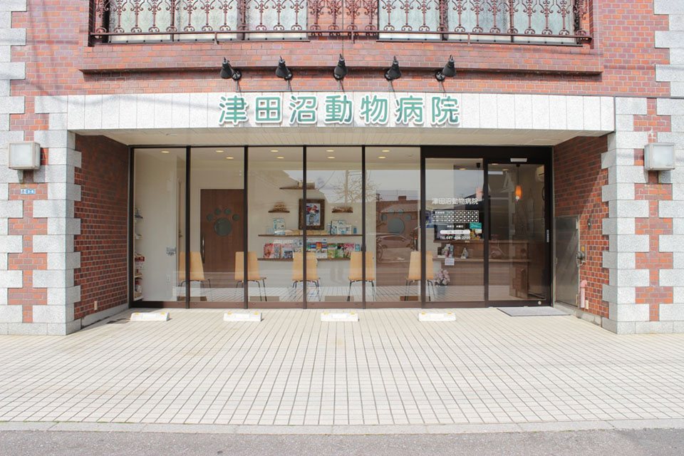 画像説明 画像説明