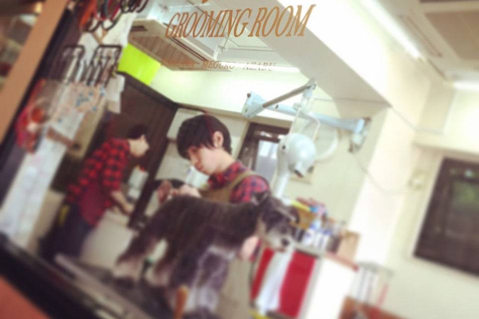 DOG's PRO SHOP TERRIER'S(テリアス)目黒店 DOG's PRO SHOP TERRIER'S(テリアス)目黒店