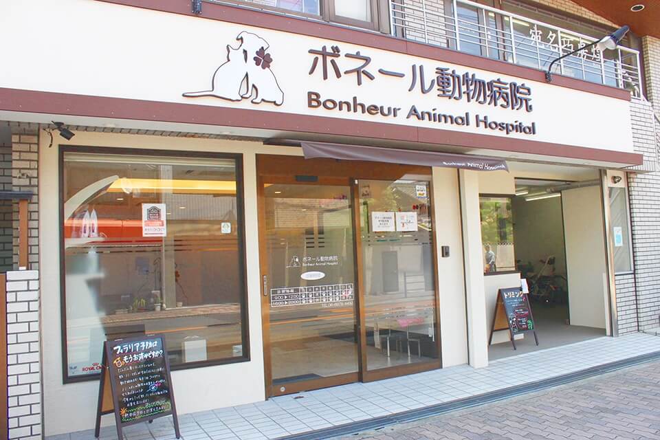 画像説明 画像説明