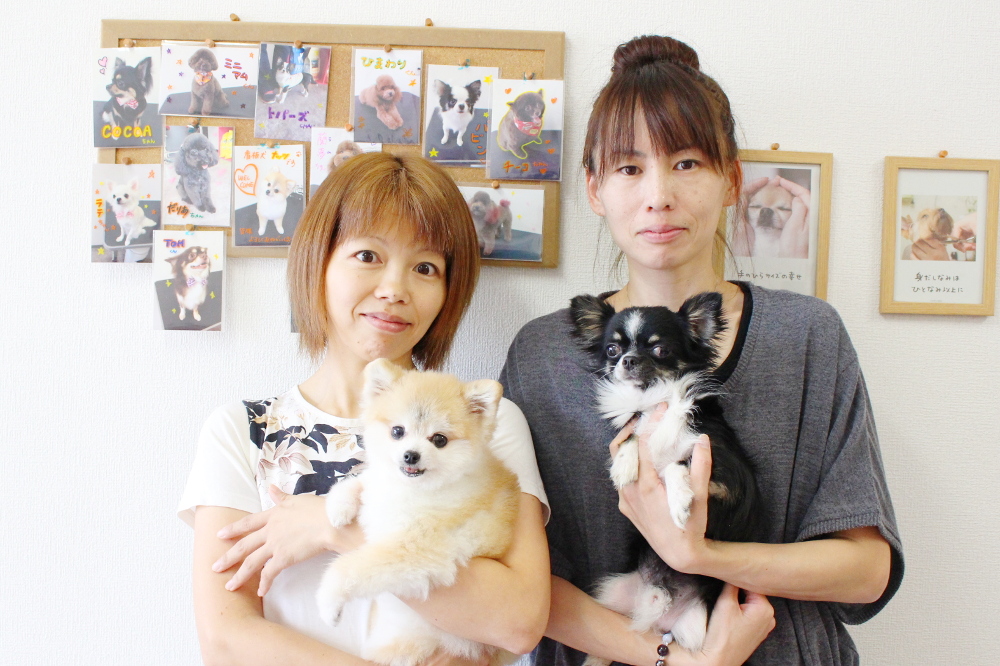 WAN☆FACE WAN☆FACE