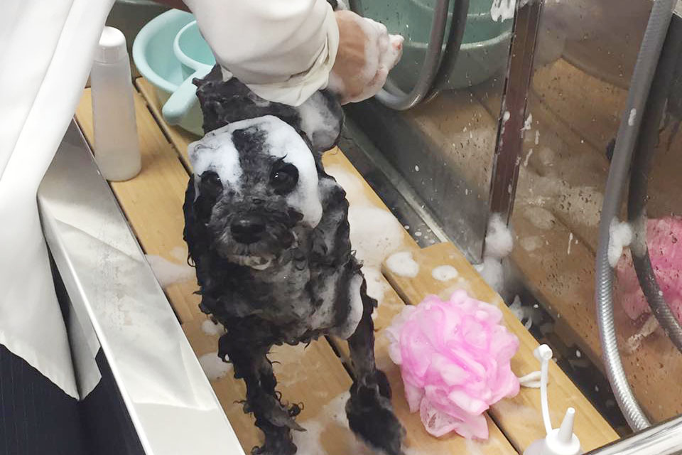 画像説明 画像説明