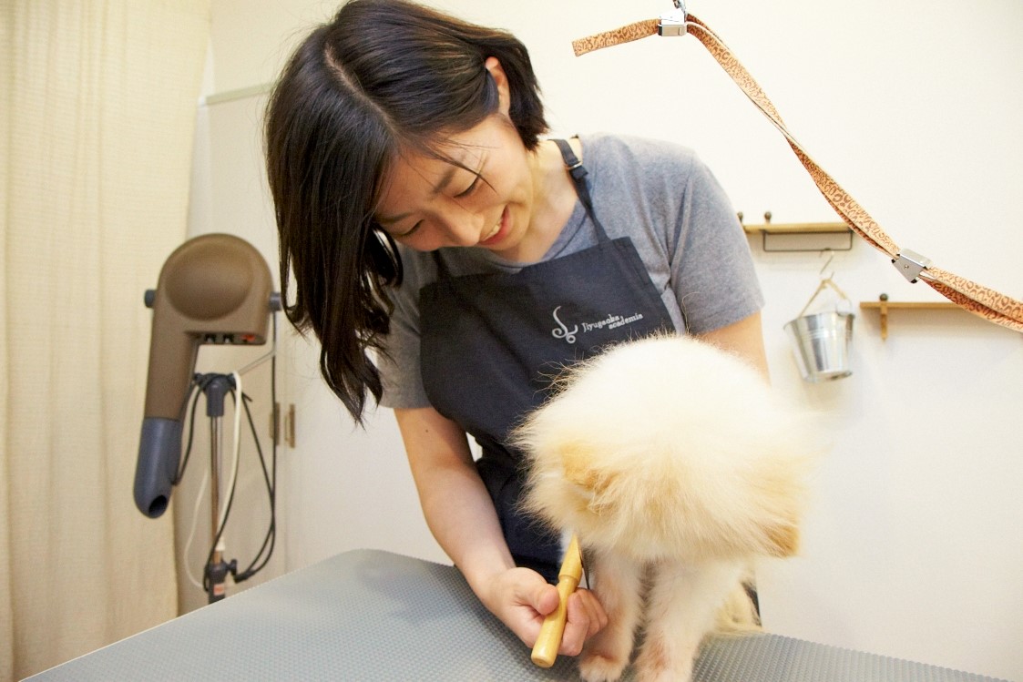 Trimming salon igusa(イグサ) Trimming salon igusa(イグサ)