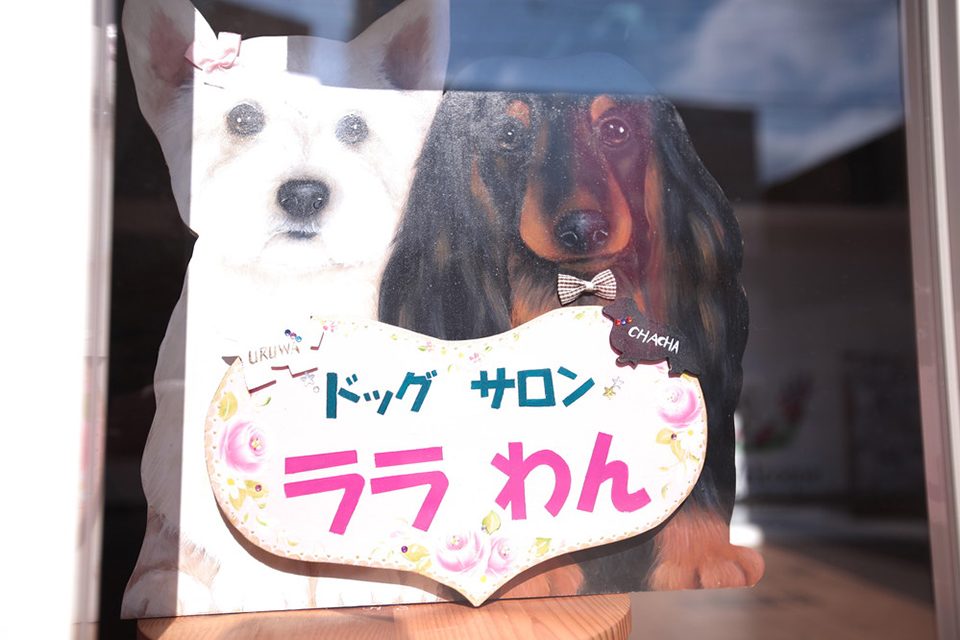 画像説明 画像説明