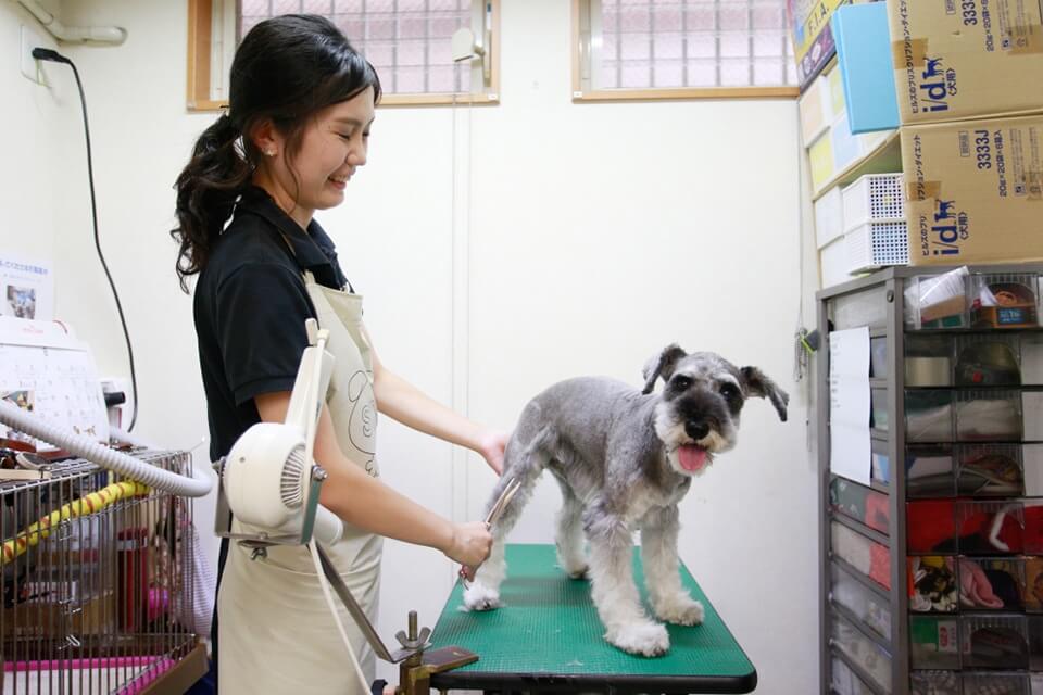 オアシス動物病院(トリミング) オアシス動物病院(トリミング)
