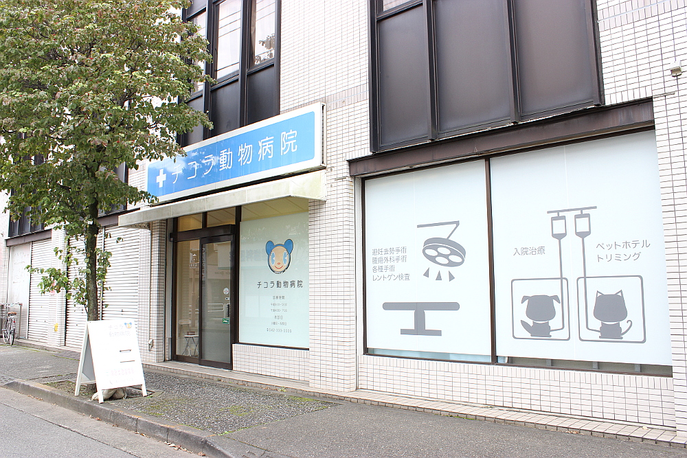 チコラ動物病院