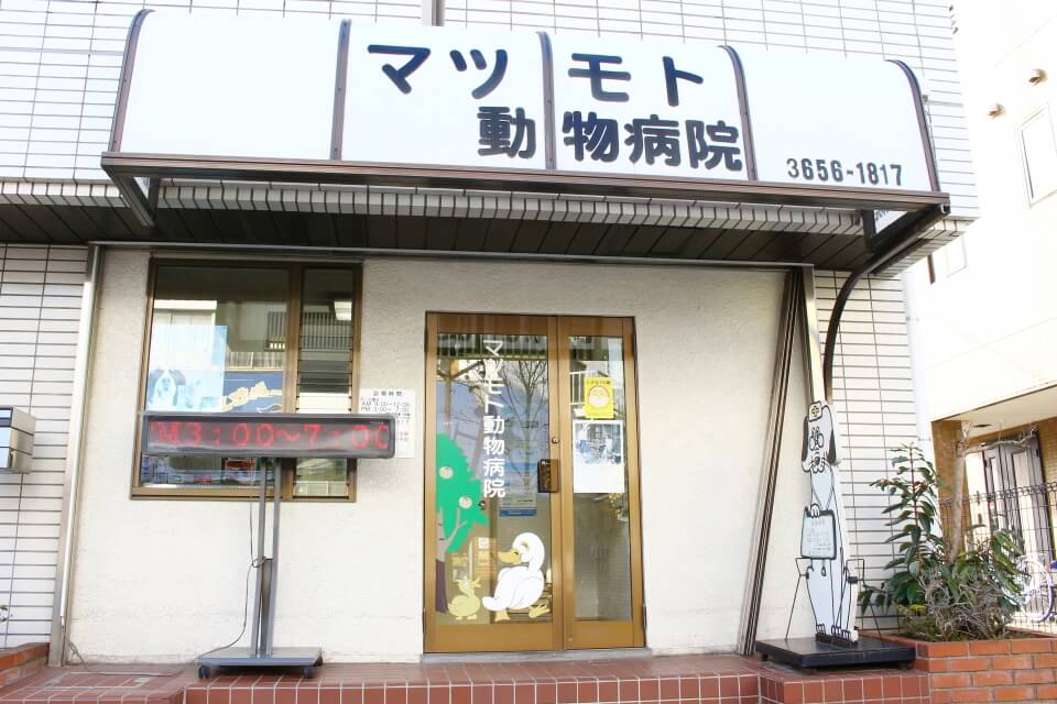 マツモト動物病院 マツモト動物病院