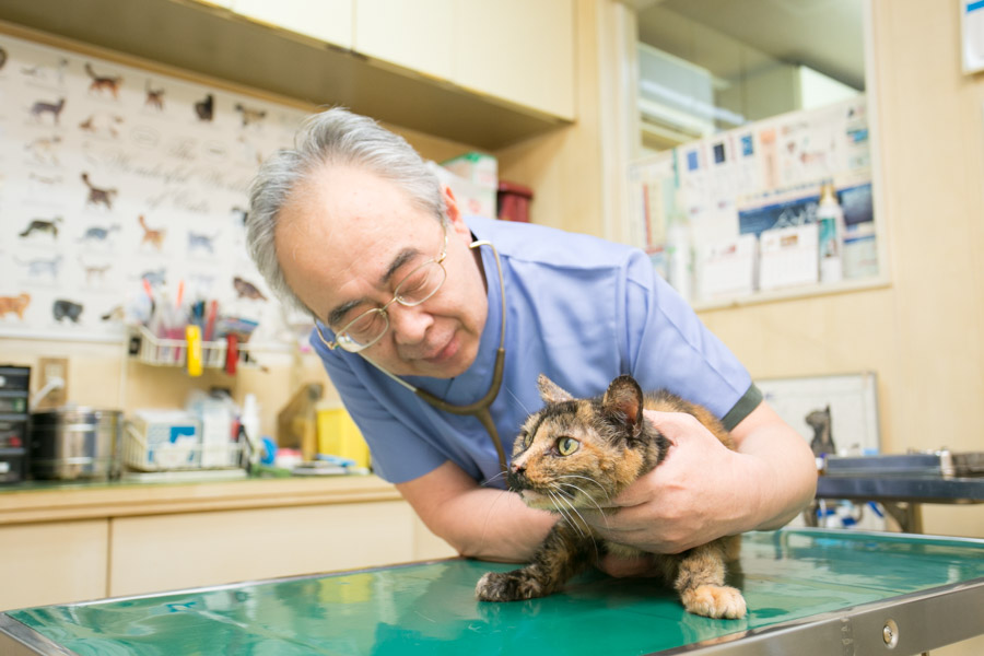 クロス動物病院 クロス動物病院