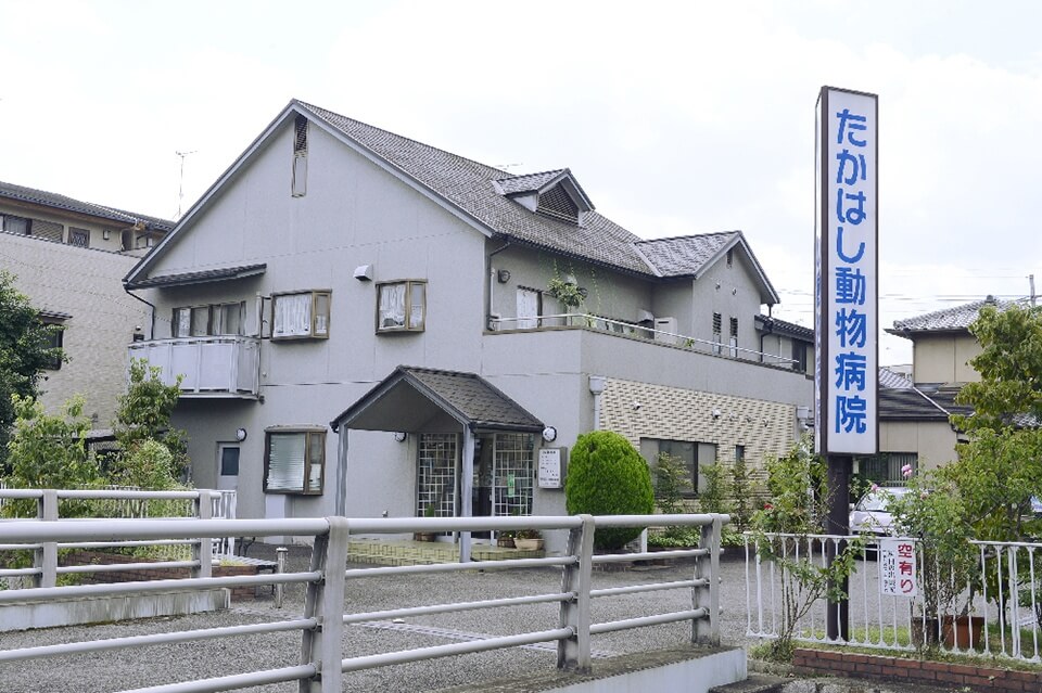 たかはし動物病院 たかはし動物病院