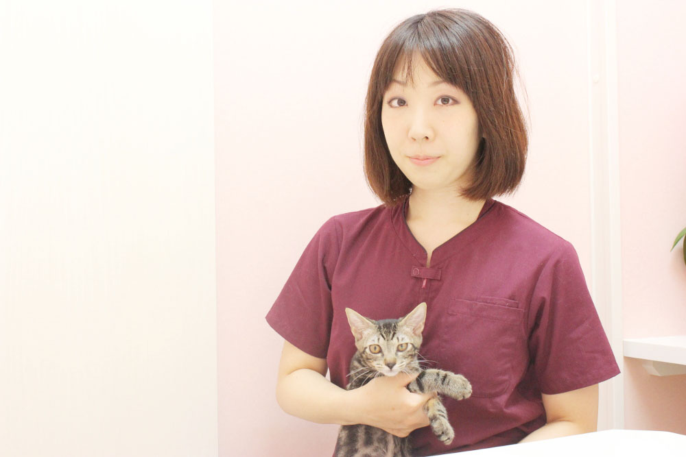 猫の診療室モモ 猫の診療室モモ