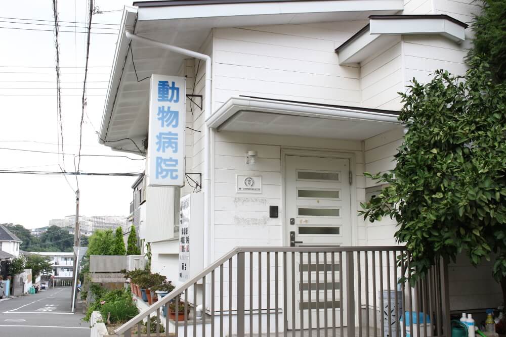 茨木動物病院 茨木動物病院