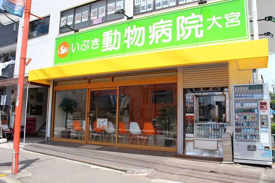 画像説明 画像説明