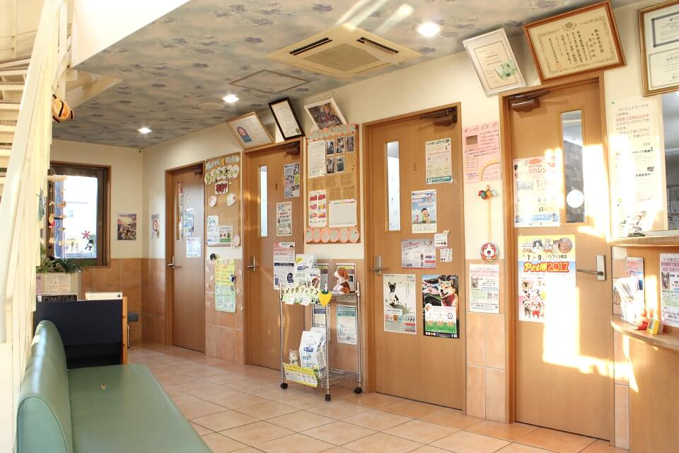 厚木ひまわり動物病院 厚木ひまわり動物病院