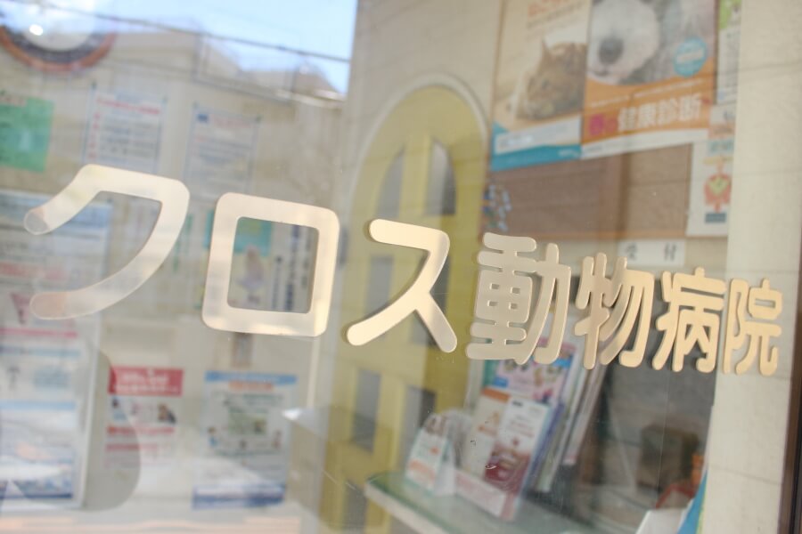 クロス動物病院 クロス動物病院