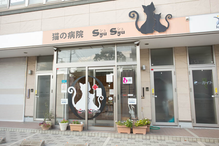 SyuSyu CAT Clinic SyuSyu CAT Clinic
