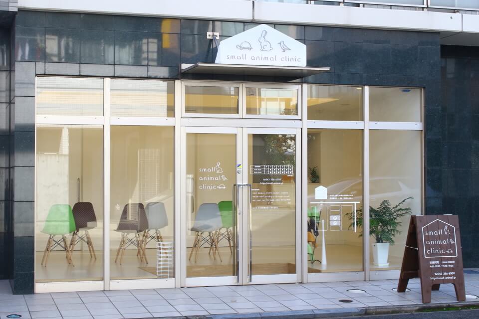 small animal clinic small animal clinic