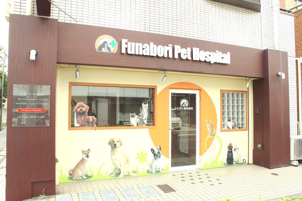 ふなぼり動物病院 ふなぼり動物病院
