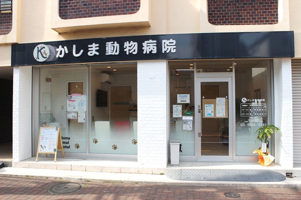 かしま動物病院 かしま動物病院