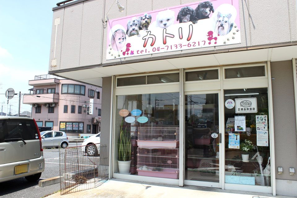 犬猫美容室 カトリ 犬猫美容室 カトリ