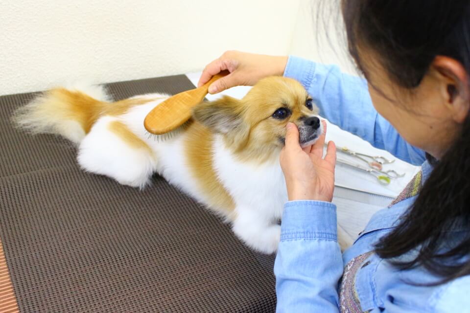 画像説明 画像説明