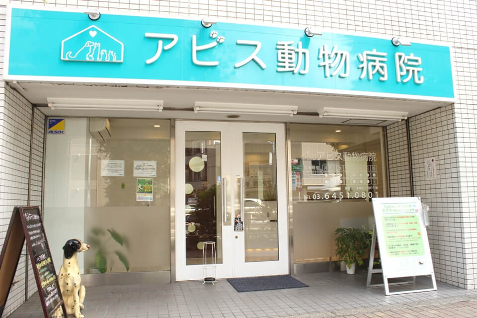 アビス動物病院 アビス動物病院