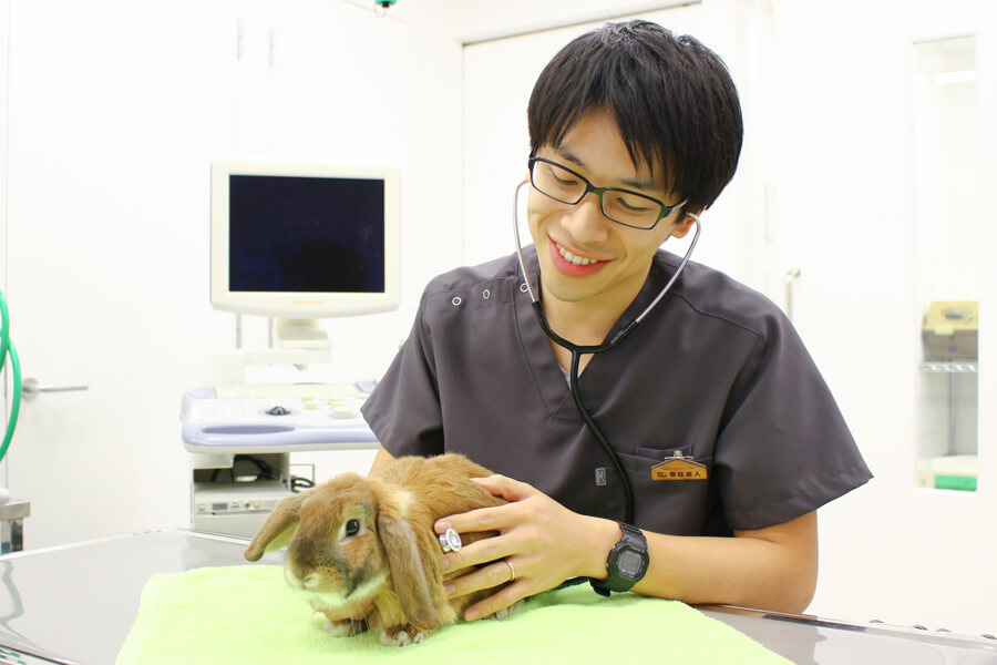small animal clinic small animal clinic