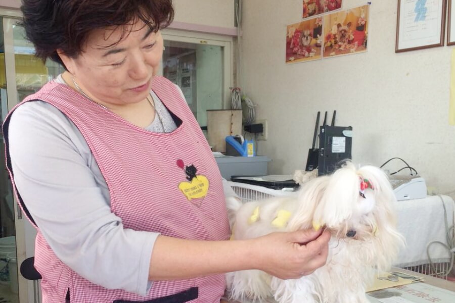 犬猫美容室 カトリ 犬猫美容室 カトリ