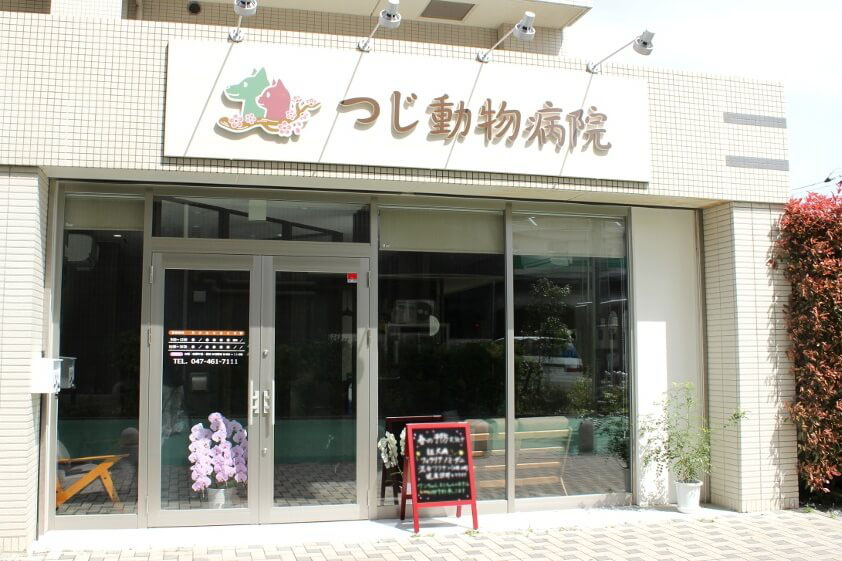 つじ動物病院 つじ動物病院