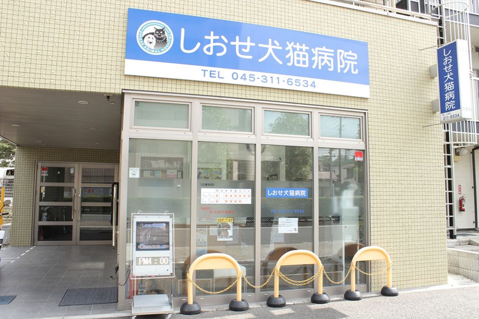 画像説明 画像説明